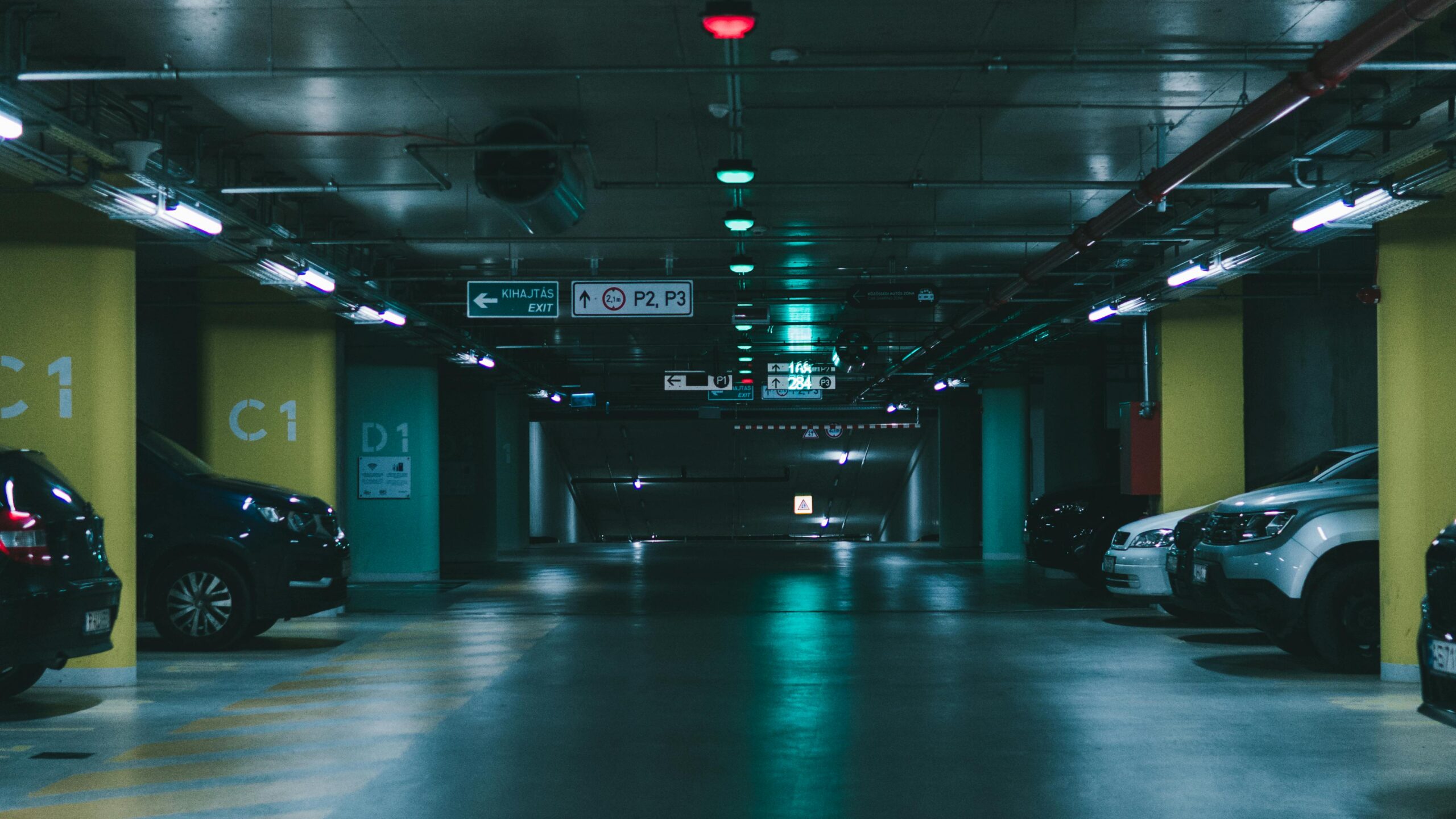pexels-tibszabo-13710290